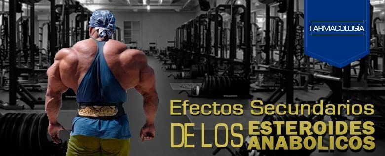 esteroides para definicion muscular Etica y etiqueta