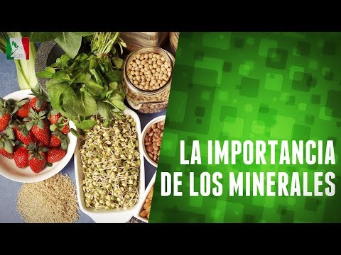 La importancia de los minerales