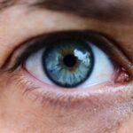 Nutrientes que favorecen la salud ocular